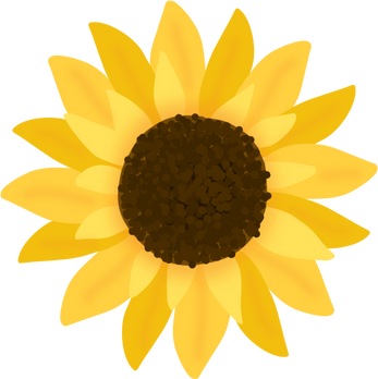 Yellow Sunflower Illustration